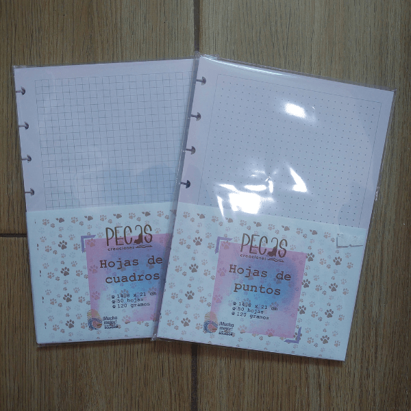 HOJAS A5 DE DISCOS - BORDES ROSA DEGRADAS