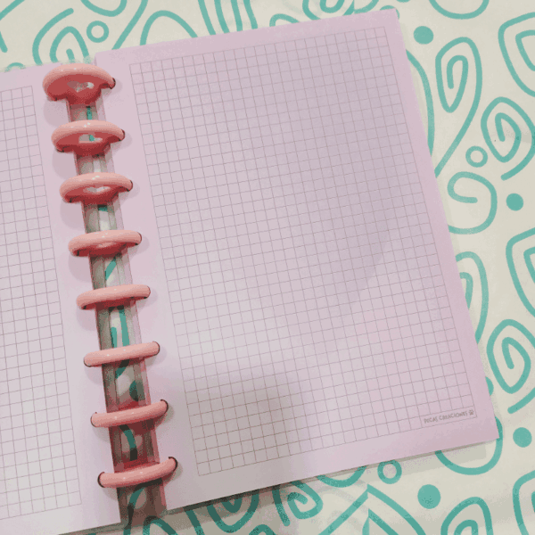 CUADERNO DE DISCOS A5 PUNTOS HOJAS ROSA - HELLO KITTY - Imagen 2