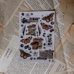 PLANTILLA MARIPOSAS Y ARANDANOS