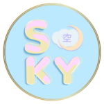SKY STAN STORE☁️