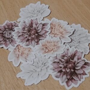 SET FLORES VINTAGE X20 STICKERS