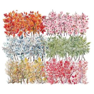 STICKER PET - RAMAS ARBOL - X20