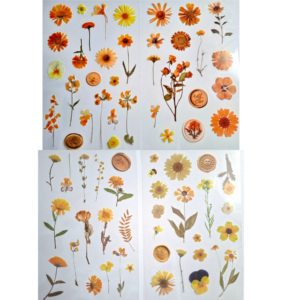Stickers Transparentes de flores- 4 plantillas