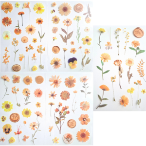 Stickers Transparentes - 5 plantillas